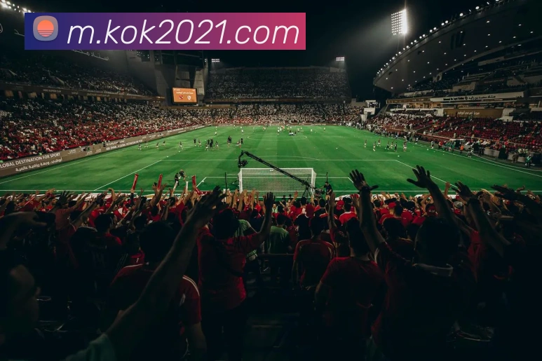 kok体育官网APP 高清赛事图